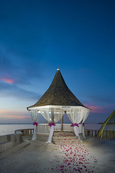 Outdoor Wedding Area